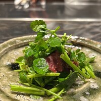 本店山科 - 