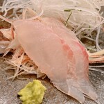 木挽町 とも樹 - 同じく、小田原港から直で今朝届いたホウボウ。真鯛との味わいの違いが分かるほどの鮮度