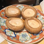 関本恭平 - しいたけ