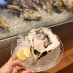 Rock Oyster raw or grilled