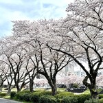 Tonkatsu Yoshie - 桜川 (車で2分)