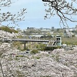 Tonkatsu Yoshie - 偕楽園 桜山エリア (車で7分)