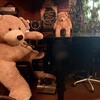 トウエイホテル - くま！