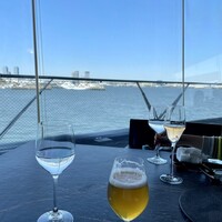 International cuisine subzero - 
