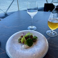 International cuisine subzero - 