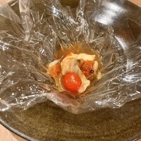 SCALAE - 