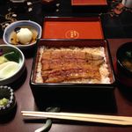 五代目 野田岩 - 鰻三楽コース