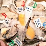 Oyster Bar ジャックポット - 