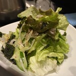 焼肉ホルモン 風土. - チョレギサラダ