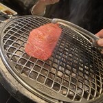 焼肉ホルモン 風土. - 赤肉盛り合わせ
      ＊ミスジ、カイノミ、肩ロースカブリ、USプライムハラミ、和牛サガリ