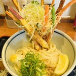 Sanukino Oudon Hanahasaku - 彩り4種野菜のかき揚げぶっかけ　冷