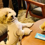 BON OKAWA 카루이자와 초콜릿 팩토리