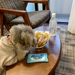 BON OKAWA 카루이자와 초콜릿 팩토리