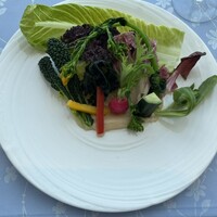 イリエスケープ - バーニャカウダ