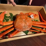 江差 旅庭 群来 - 