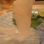 ためしてや - ひらめ