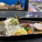 すし 魚游 - 