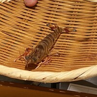 天ぷら 銀座おのでら 並木通り店 - 