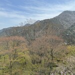 見晴茶屋 兎月 - 