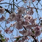 見晴茶屋 兎月 - 