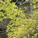 見晴茶屋 兎月 - 