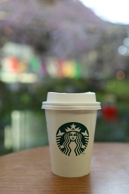 Starbucks Coffee Kyoto Karasuma Rokkaku Ten