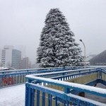 香港食市場 - 2014年2月14日