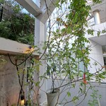 ショウゾウ コーヒー ストア - 