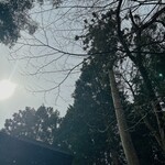 温泉山荘 だいこんの花 - 