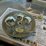 OYSTER FARM - 