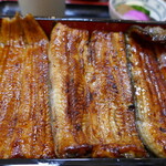 Unagi Hamana - 