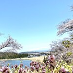 みなと市場 小松鮪専門店 - 大山公園より