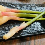 小田原産 朝どれ地魚地酒 湘南大衆横丁 - 