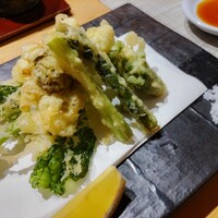 潮り - 