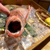 のどぐろ専門 銀座 中俣 - 