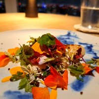 apothéose - ⚫野菜
                    「鎌倉産春大根  紅芯大根  紅しぐれ  紅くるり  矢島かぶらのピューレ」