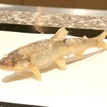 天麩羅 巽 - 稚鮎