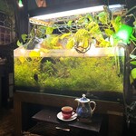 アール座読書館 - 果実の紅茶