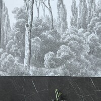 ジャヌ メルカート - 