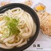 讃岐うどん 白庵