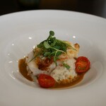 カシュ カシュ - 