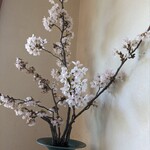 すし割烹かんだ - 