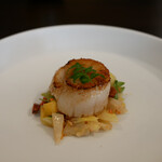 カシュ カシュ - 