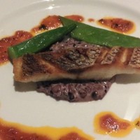 オールデイダイニング ハーモニー - コース料理（優しく蒸しあげた真鯛　五穀米のリゾット　オリーブオイルとトマトのマリニエールソース香草風味）