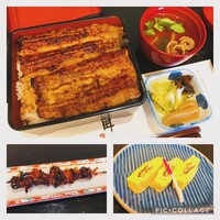 うなぎ藤田 白金台店 -  うなぎ藤田 白金台店 -