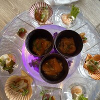 スミレオオサカ -  スミレオオサカ -