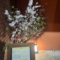 伊豆の旬 やんも 南青山店 - 