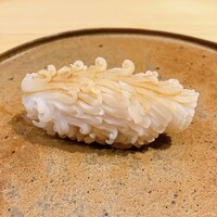 寿司処 しん - 剣先イカ