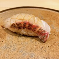 寿司処 しん - 明石鯛