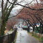 誇宇耶 - もう少しすると花見客で大混雑
この日は雪でしたが春はもうすぐそこ
(2014.2.14)